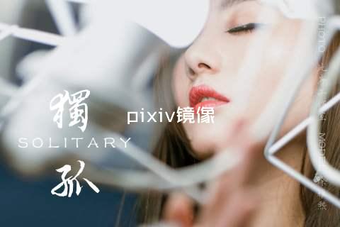 pixiv镜像